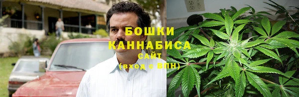амф Снежинск